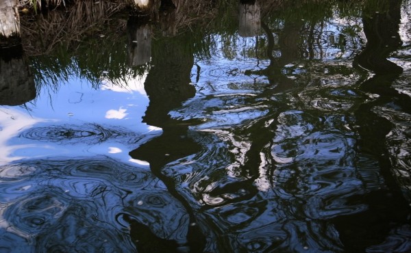 Spreewald - (c) C Tussing.jpg